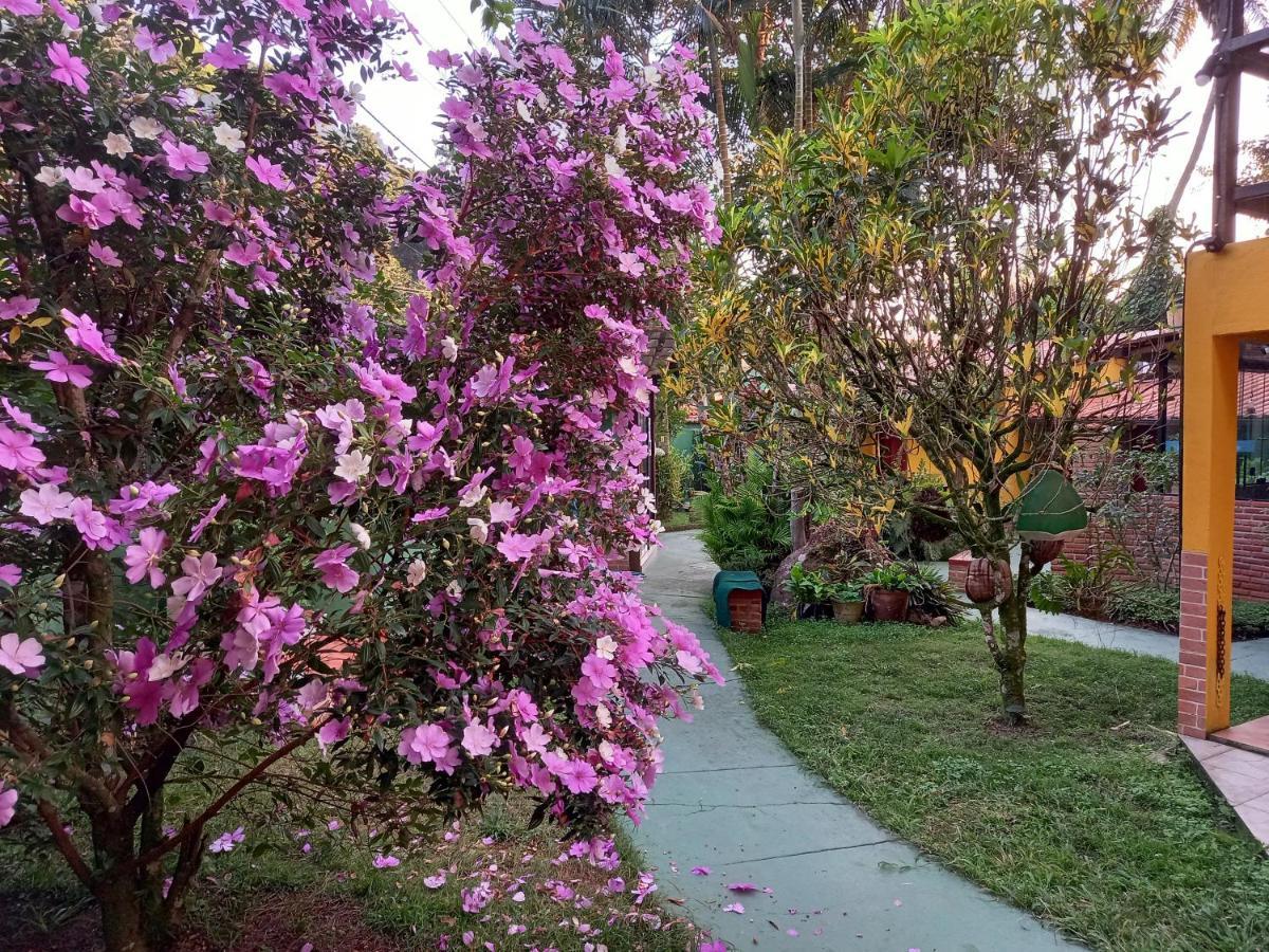 Recanto Das Flores Lofts - Ilha Grande Rj Kültér fotó