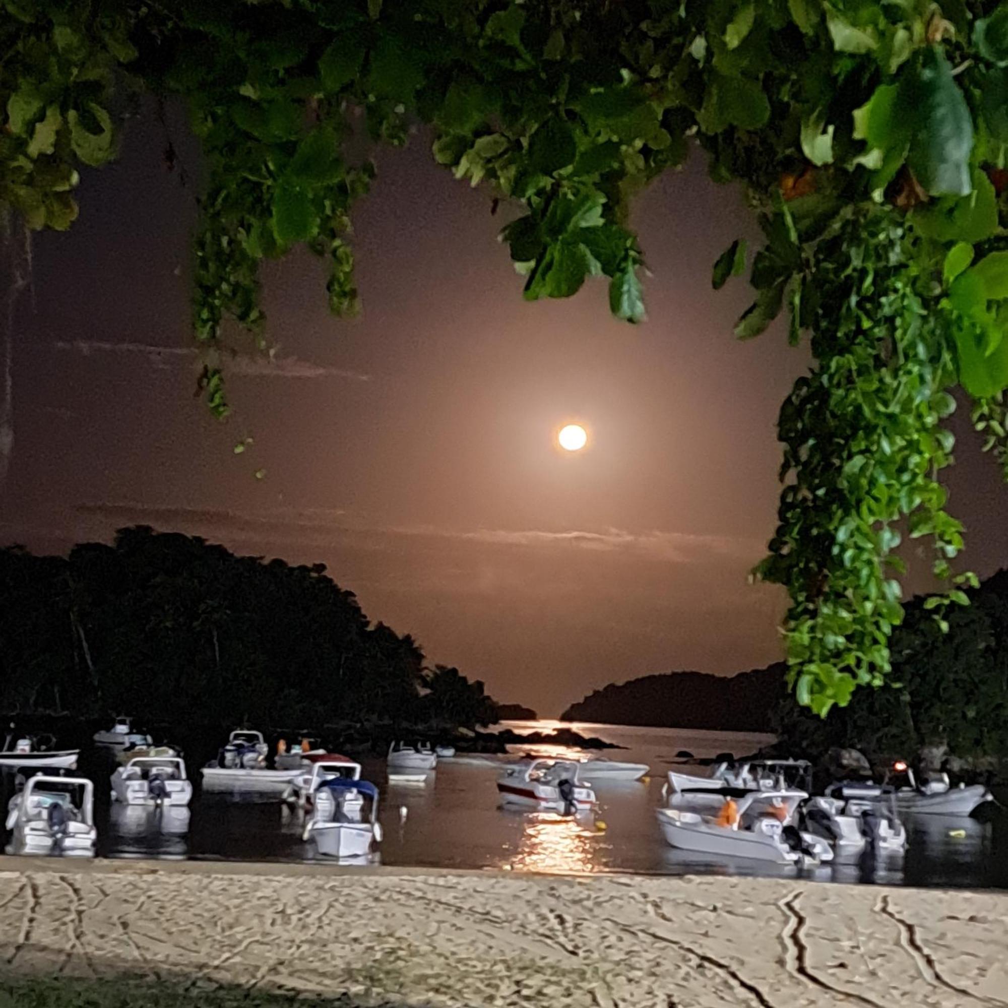 Recanto Das Flores Lofts - Ilha Grande Rj Kültér fotó