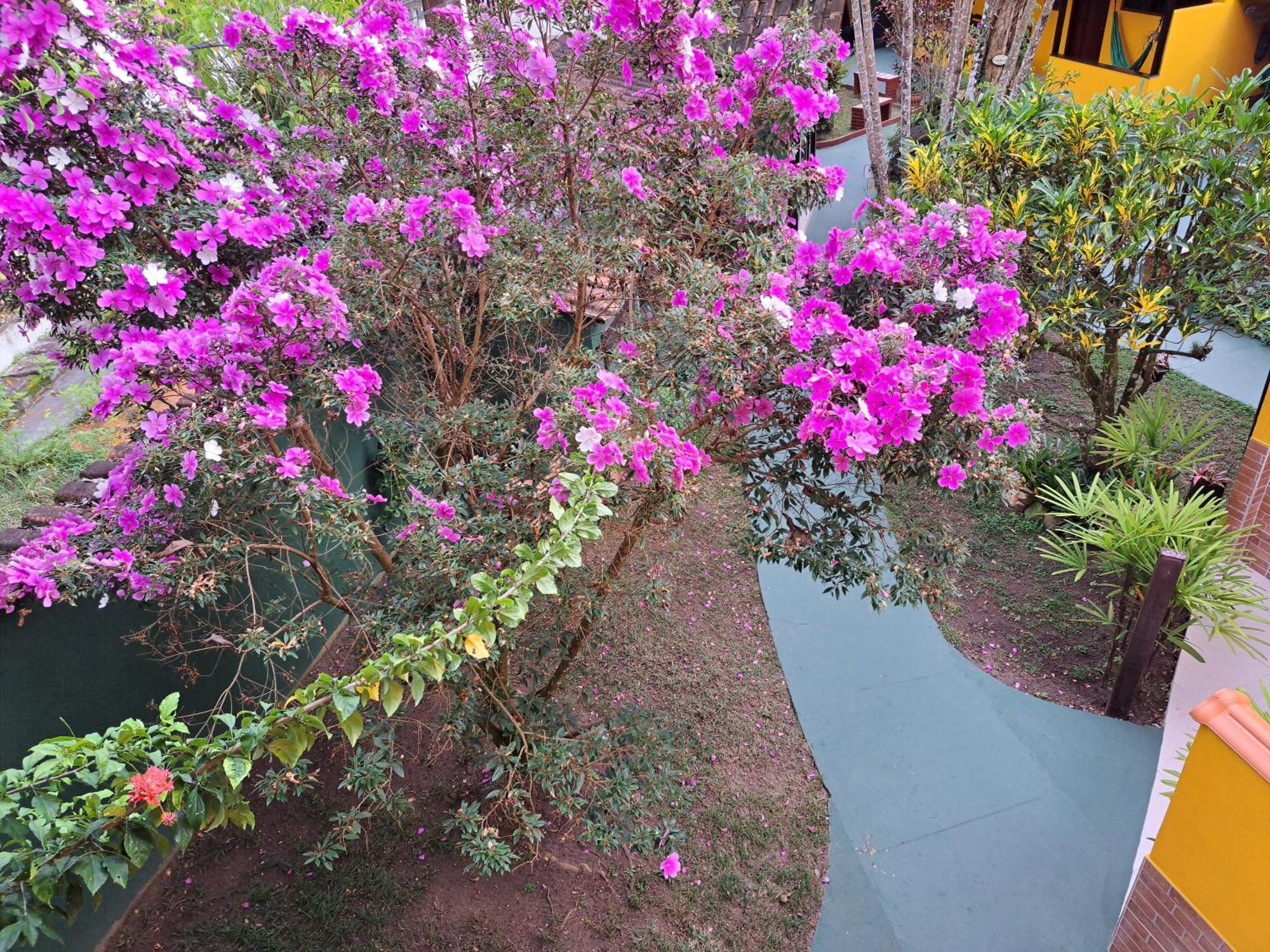 Recanto Das Flores Lofts - Ilha Grande Rj Kültér fotó